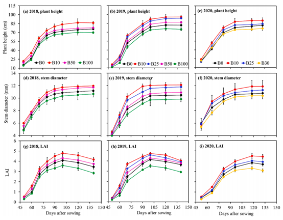 30c368f202a344a4962eb634cf9f8679.png image.png