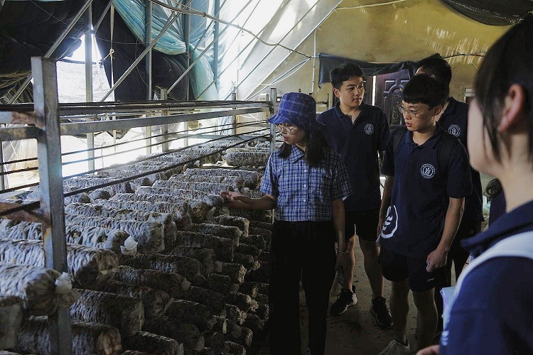 8c610254db8d496bb269c465f3c816a8.jpg 8c610254db8d496bb269c465f3c816a8.jpg