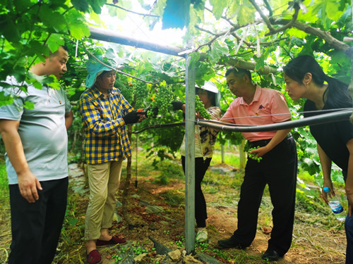 a110468a01404f30ad58700708a8db49.jpg 5.jpg