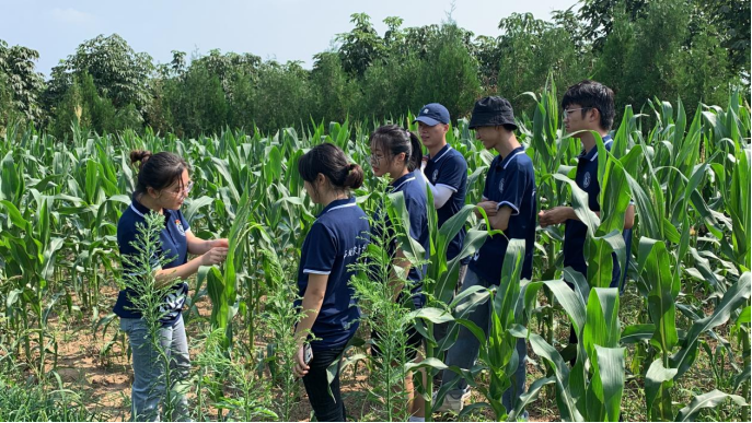 1b94cf4e4d9f4537bbe751be96c06b90.png 1b94cf4e4d9f4537bbe751be96c06b90.png